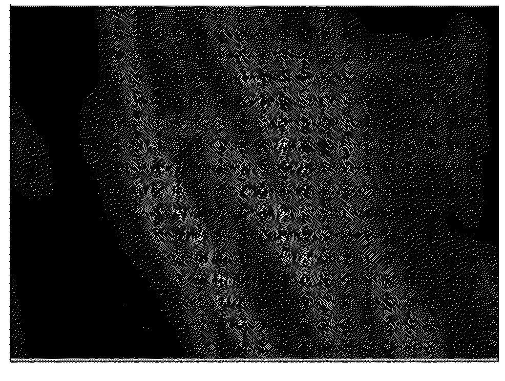 Functionalized molded cellulose body and method for producing the same