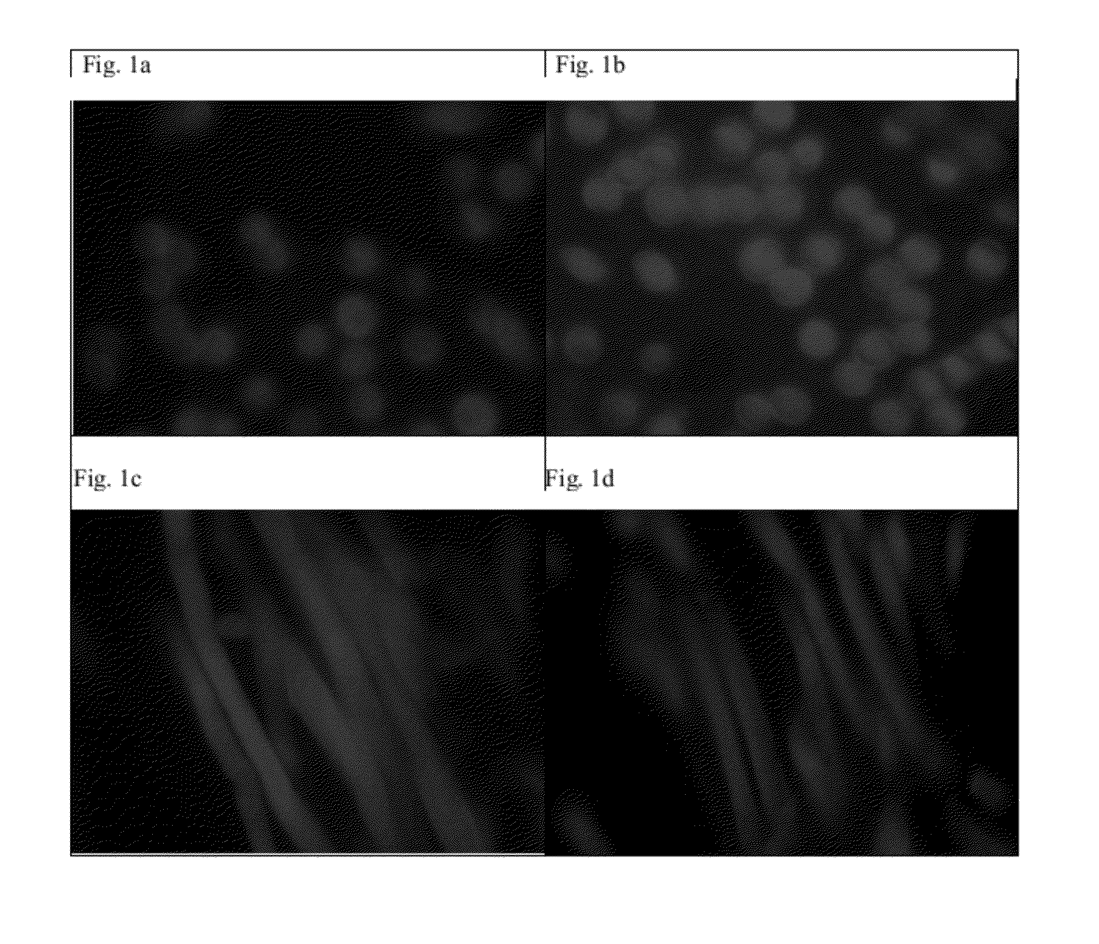 Functionalized molded cellulose body and method for producing the same