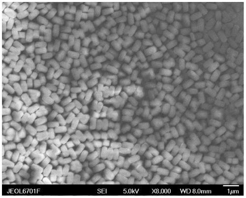 Composite micro-nano hollow fiber material as well as preparation method and application thereof