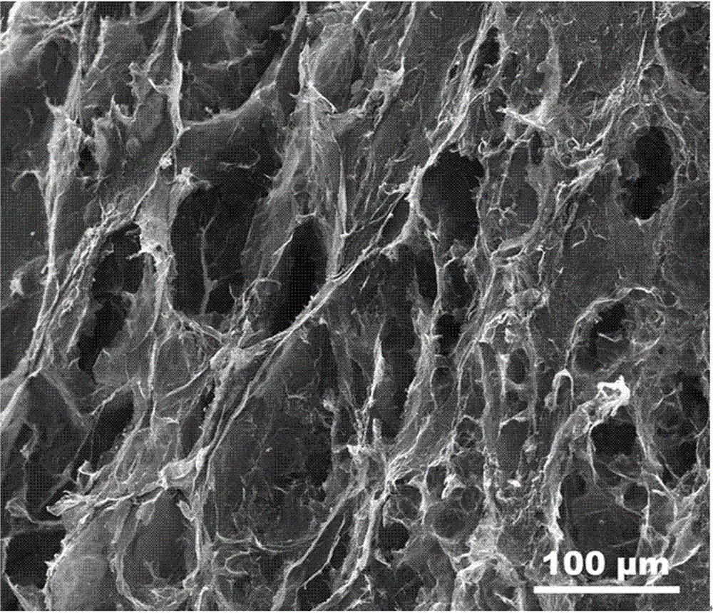 Manufacturing method of three-dimensional graphene/graphite-phase carbonized nitrogen and application thereof