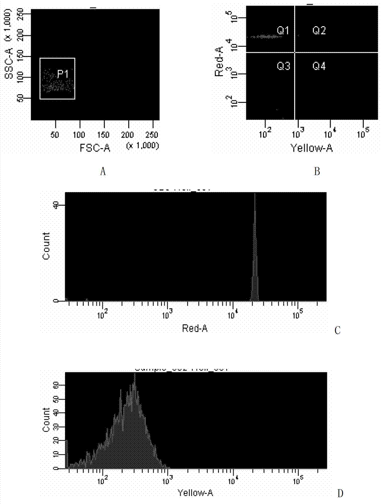 Method for detecting shrimp white spot disease virus based on liquid chip