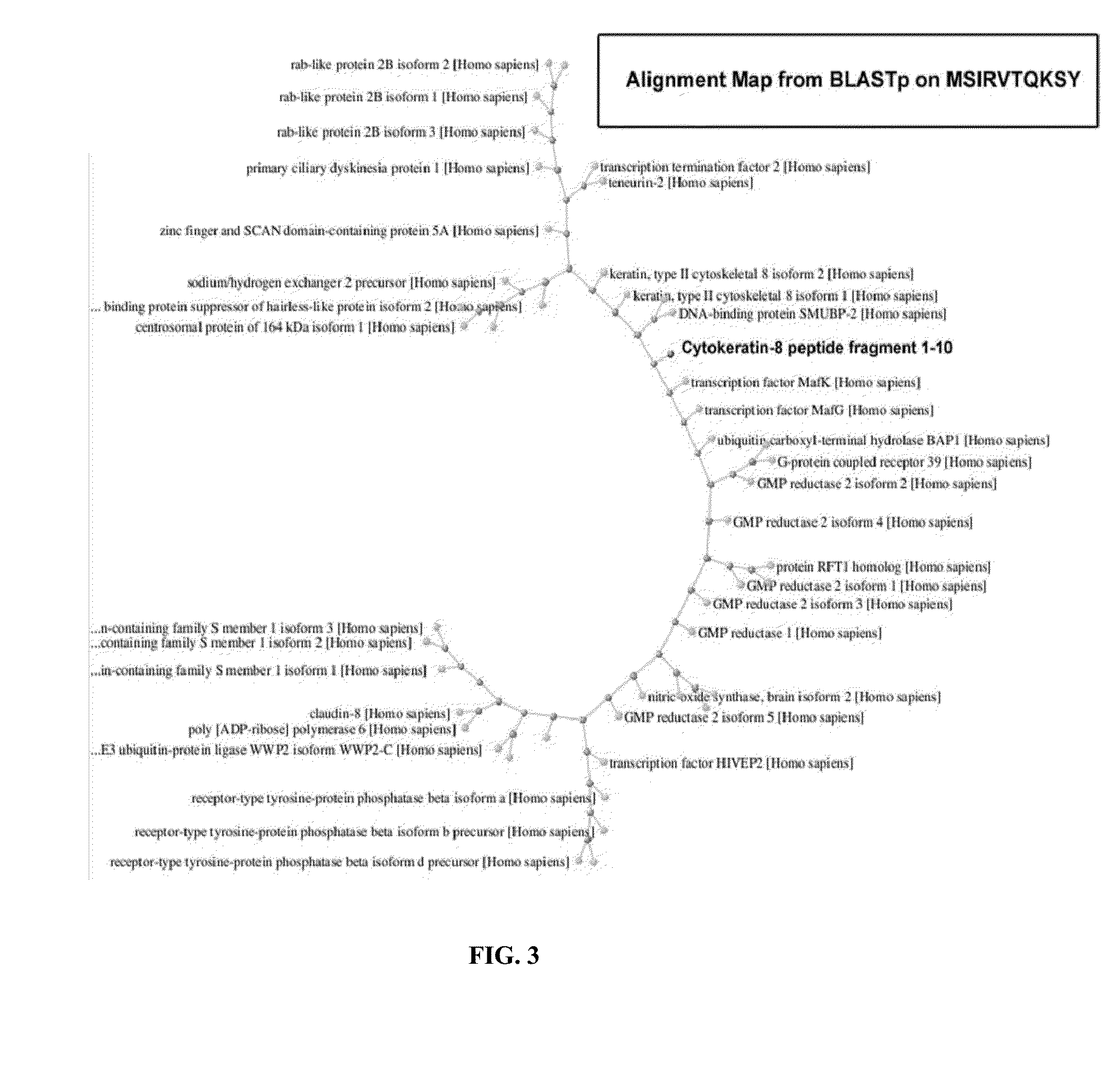 Compositions and methods for treating anaplastic thyroid cancer