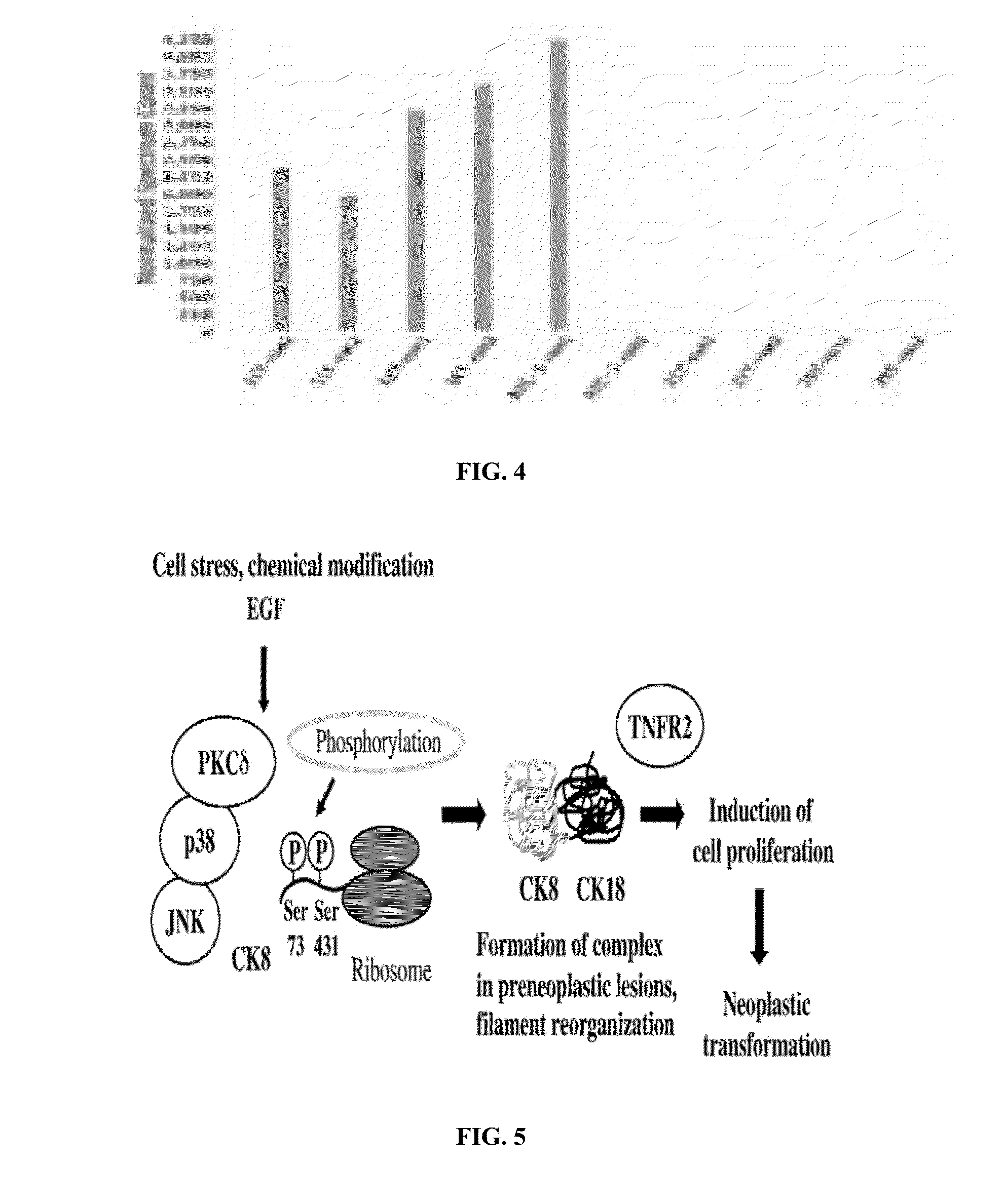 Compositions and methods for treating anaplastic thyroid cancer