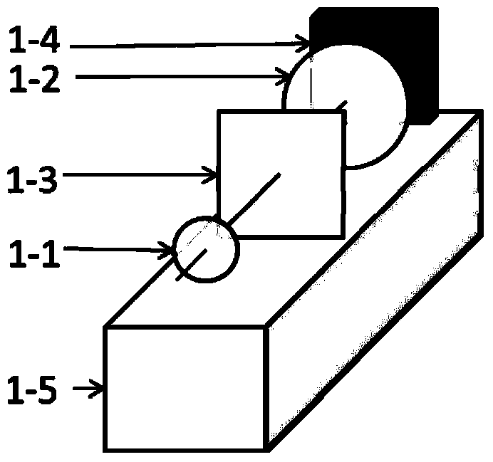 Live animal two-photon excitation time-lapse detection fluorescence imaging analysis method and equipment