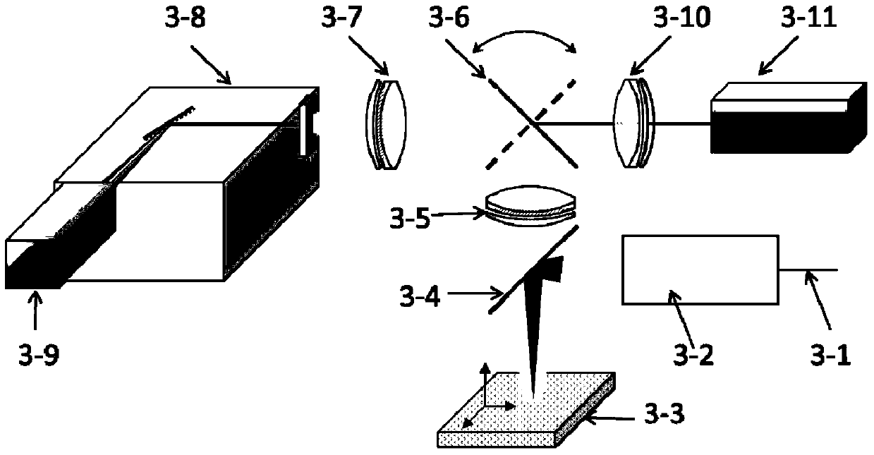 Live animal two-photon excitation time-lapse detection fluorescence imaging analysis method and equipment