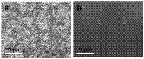 Stainless steel stain-resistant nano-coating and preparation method thereof