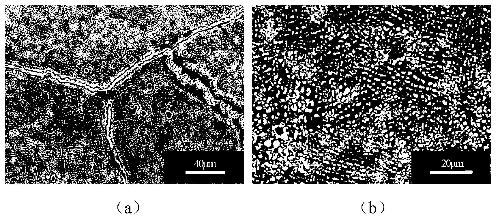 Novel tin-and-indium-containing multi-component cadmium-and-silver-free brazing filler metal