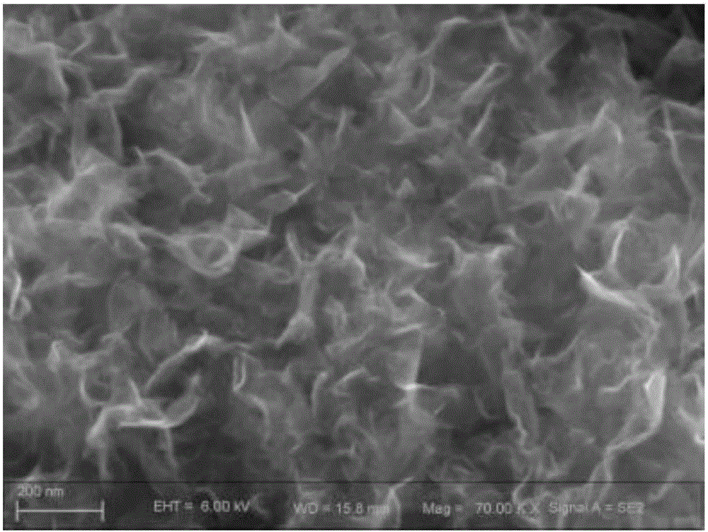 Method for simultaneously detecting ascorbic acid, dopamine, uric acid, tryptophan and nitrite