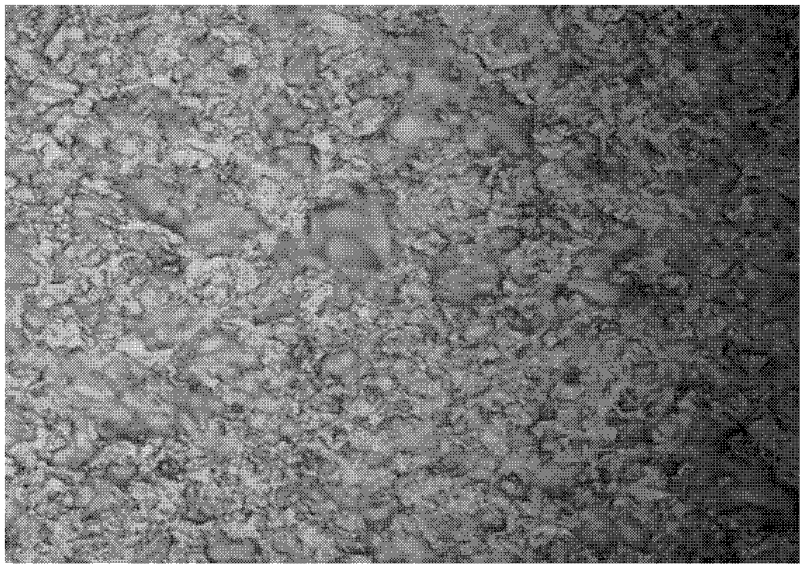 Polysilicon alkaline wool making method