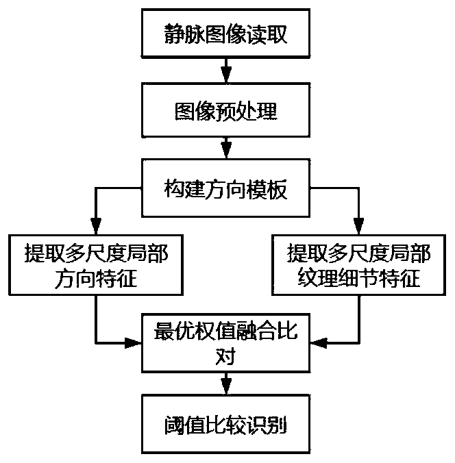 Finger vein recognition method based on multi-scale local feature fusion