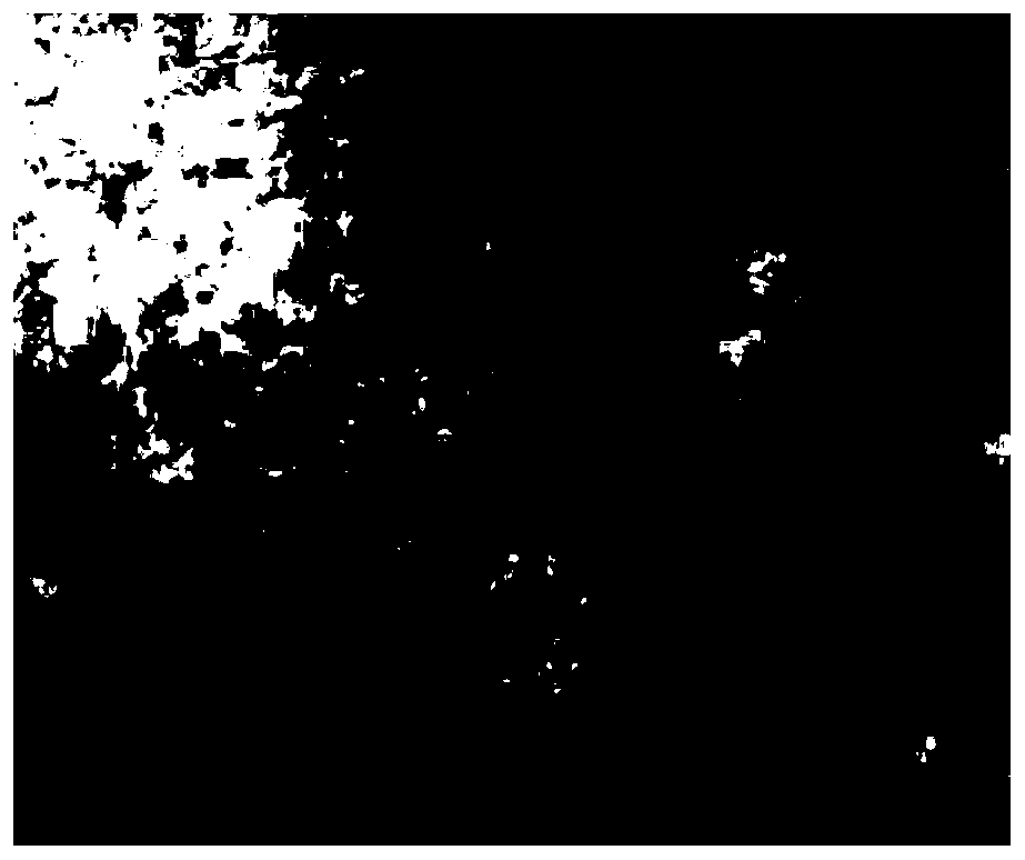 Method for Separation and Concentration Control of Melanin and Hemoglobin in Human Skin Slice Images