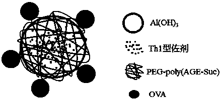 A vaccine carrier based on aluminum hydroxide nanoparticles