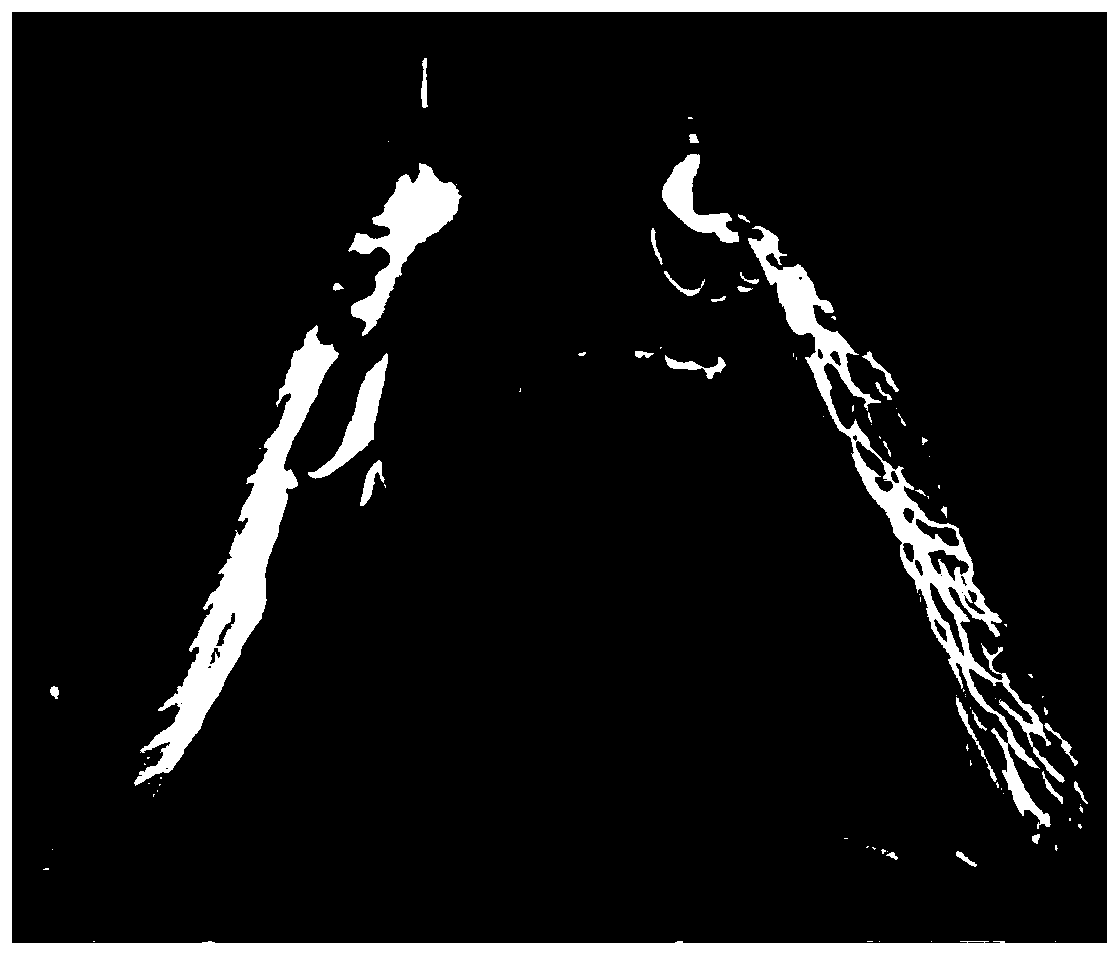 Three-dimensional imaging method of shale nanopores by focused ion beam-helium ion microscope