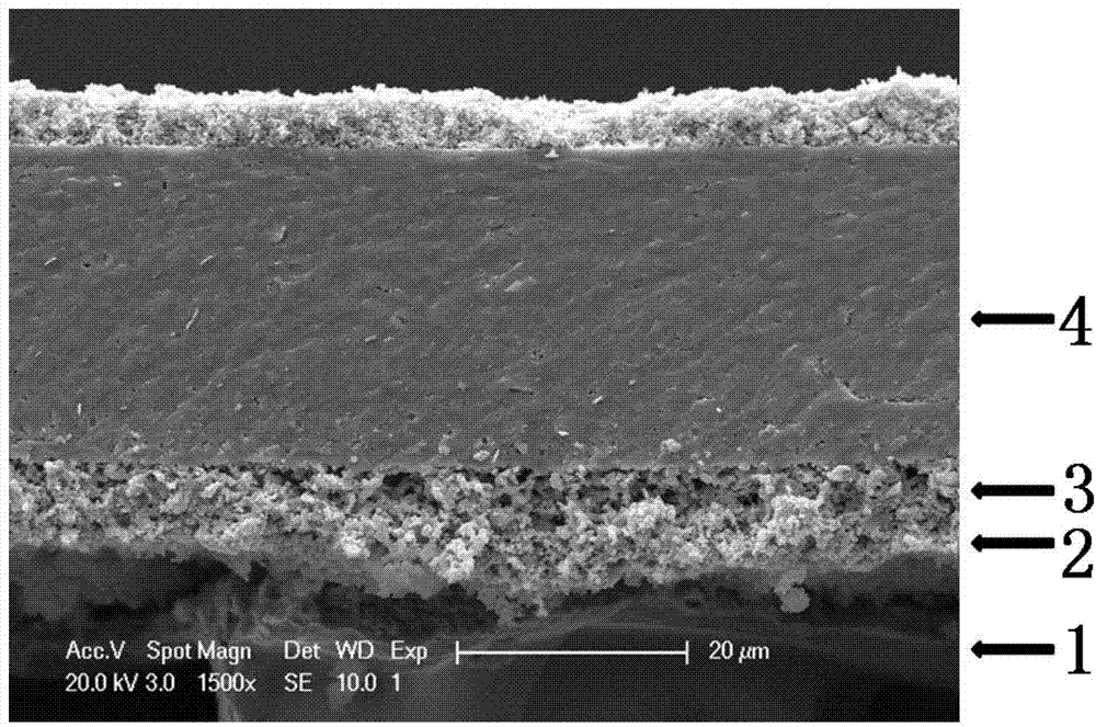 Metal support half-cell of solid oxide fuel cell and preparation method thereof