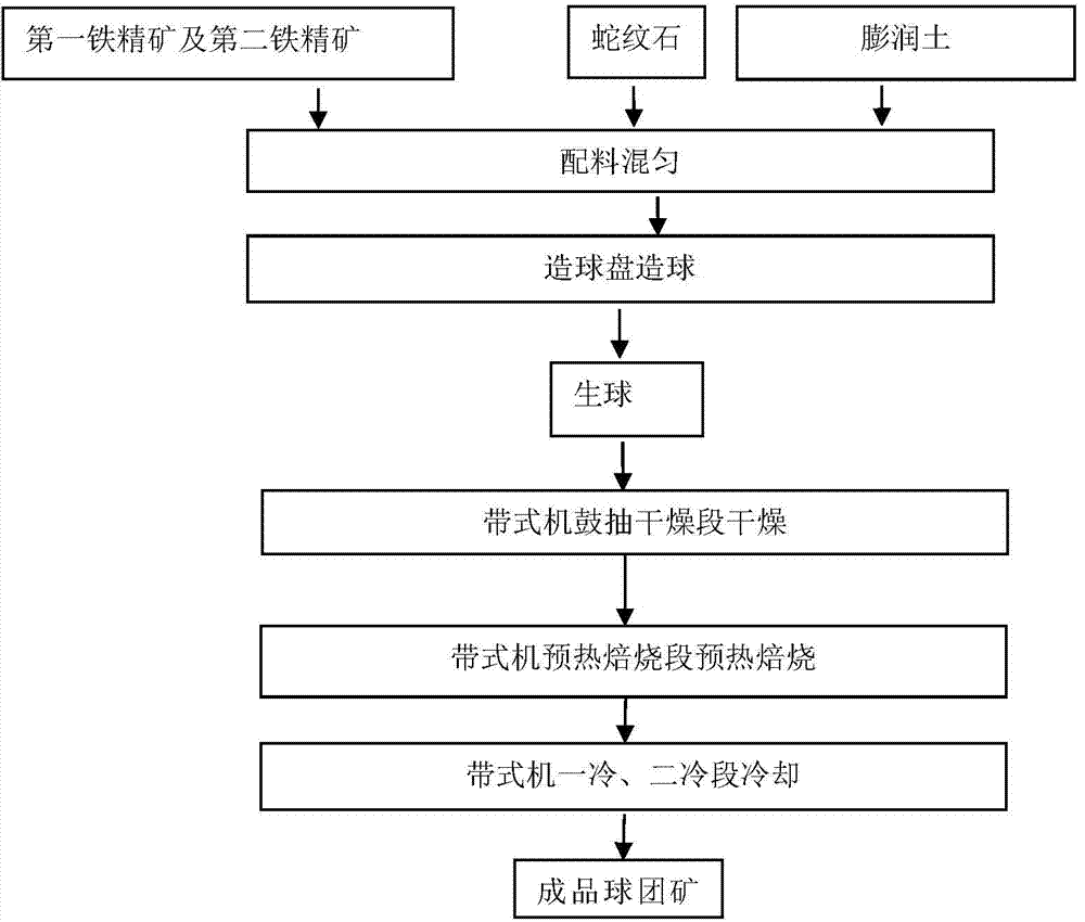 Raw material and method for producing magnesium pellets by using belt type machine