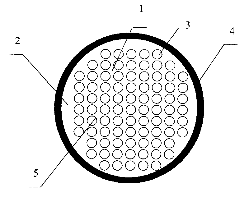 A waste water and waste gas photodegradation apparatus and system thereof