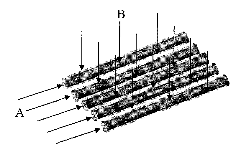 A waste water and waste gas photodegradation apparatus and system thereof