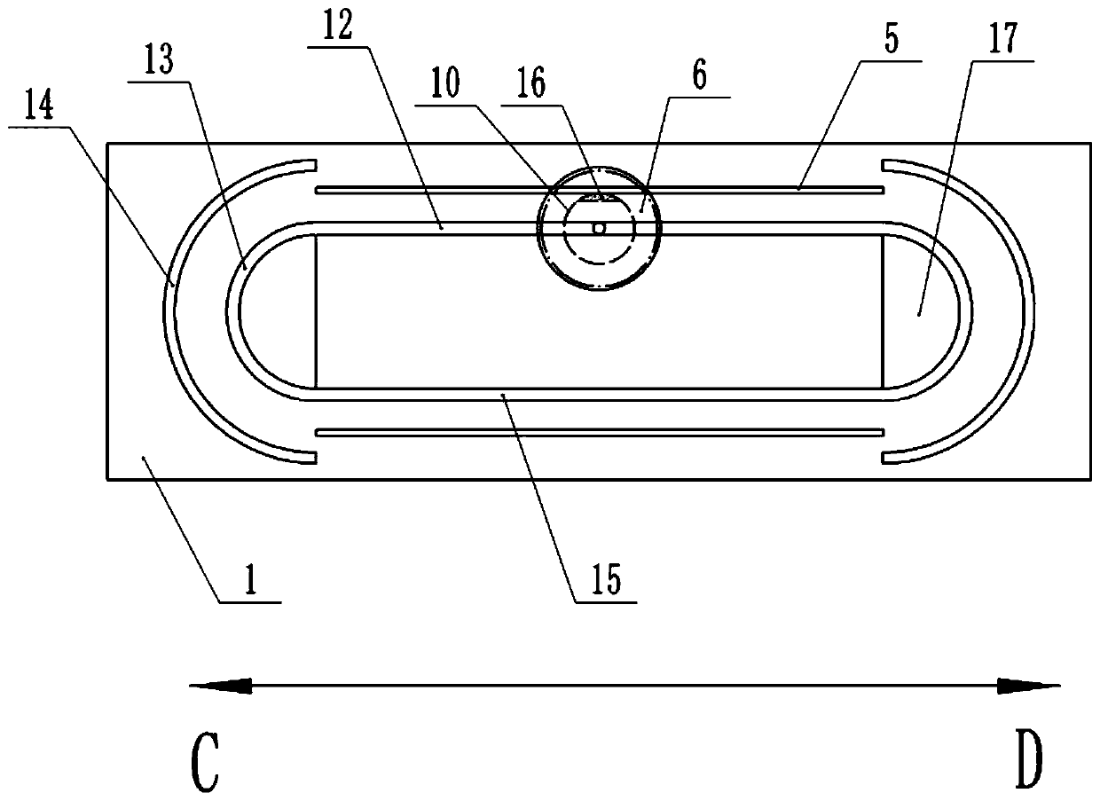 A double-sided paint spraying device for rectangular plates