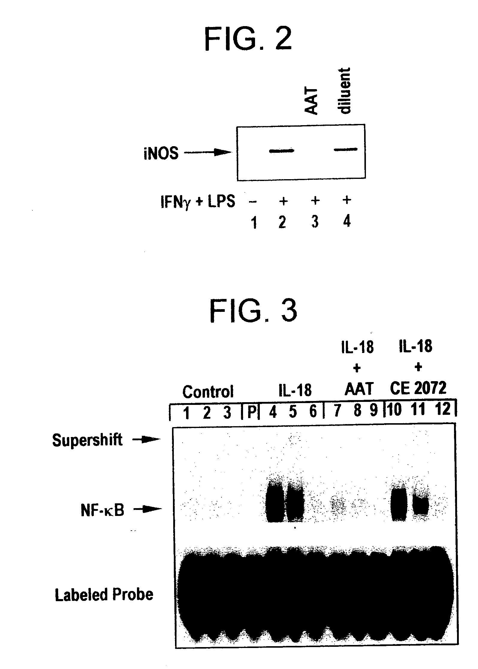 Inhibitors of serine protease activity methods and compositions for treatment of nitric oxide-induced clinical conditions