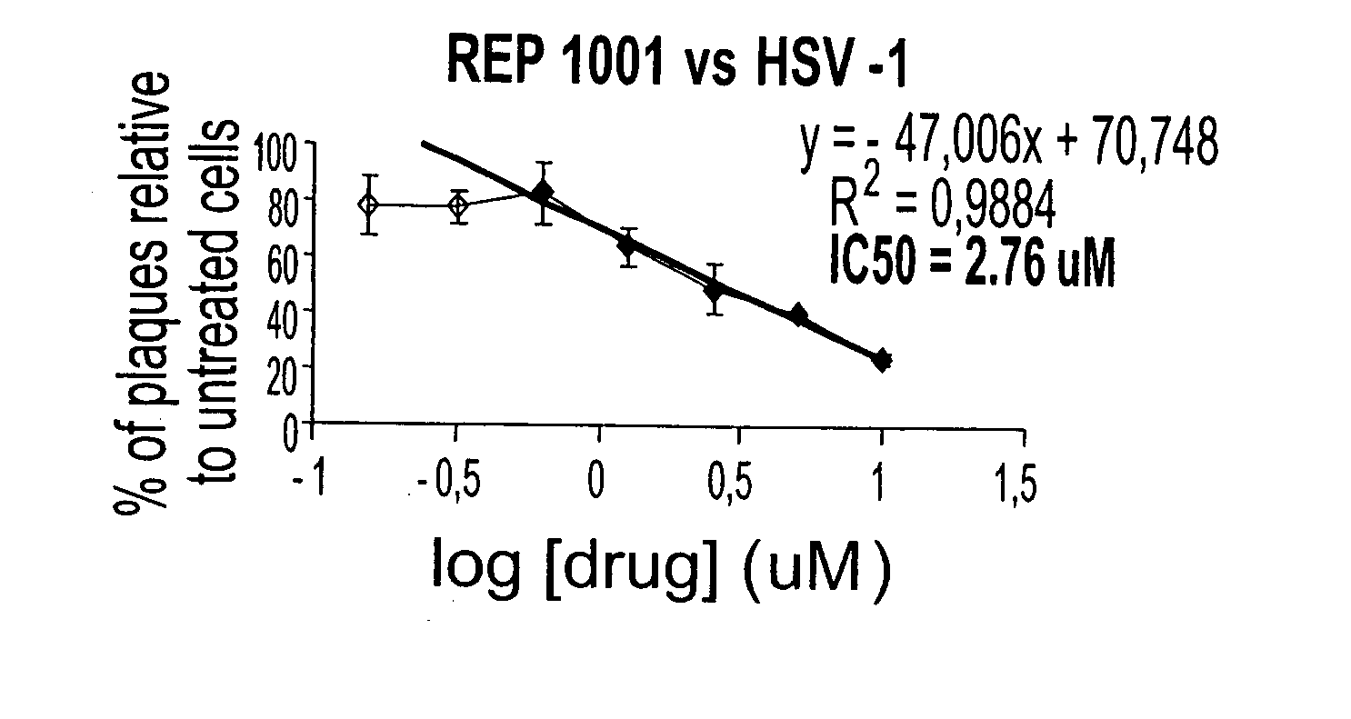 Antiviral oligonucleotides targeting viral families