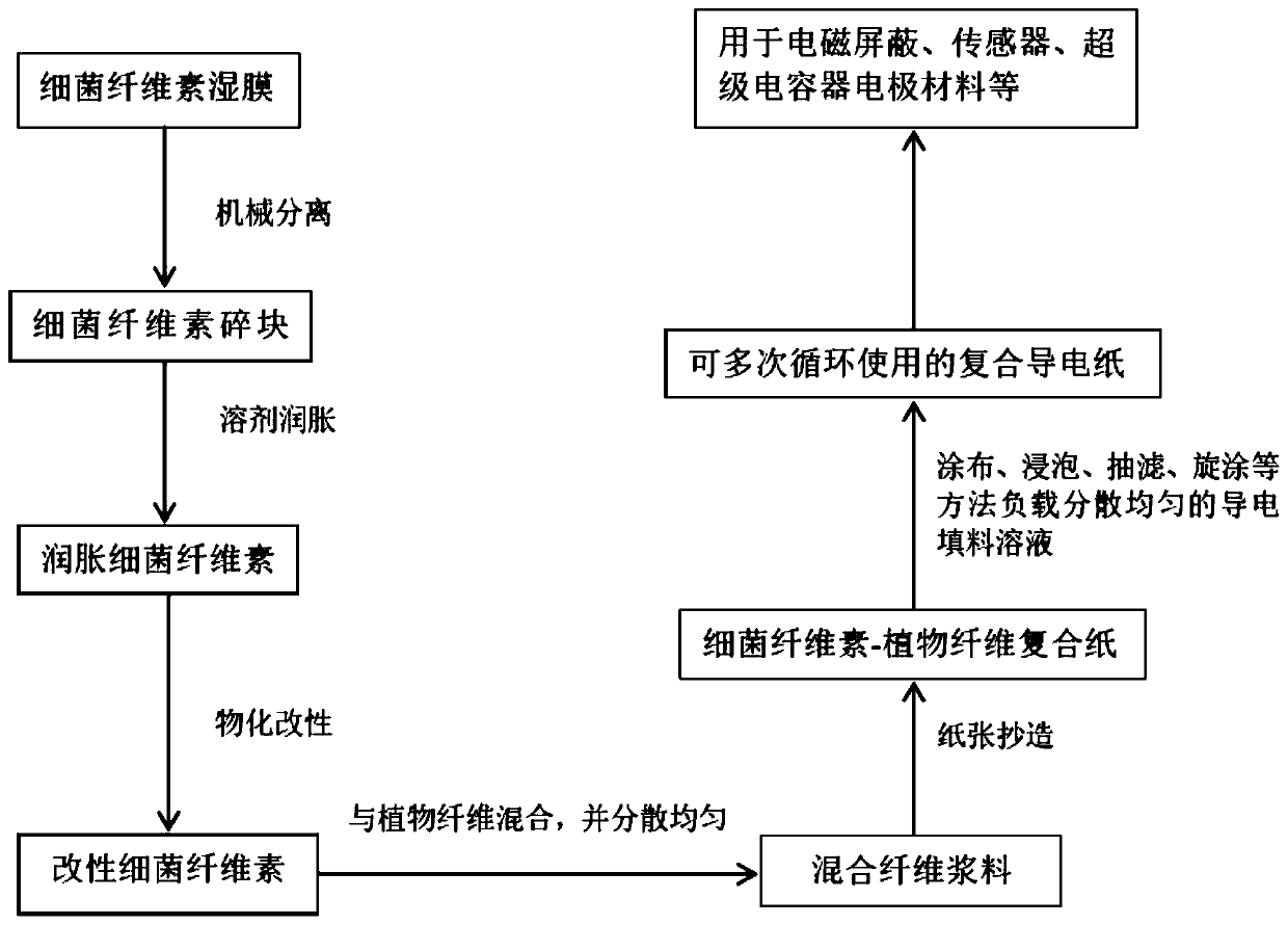 Bacterial cellulose-plant fiber composite conductive paper as well as preparation method and application thereof