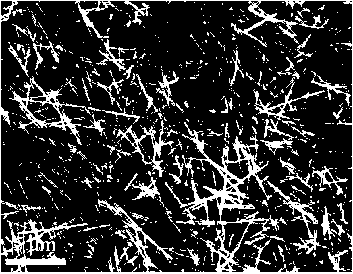 Silver nanowire transparent conductive ink as well as preparation method and application thereof