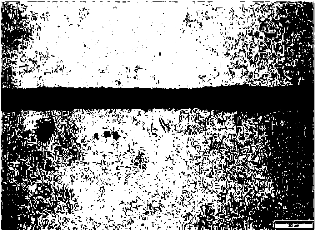 One-way amnion decellularization method