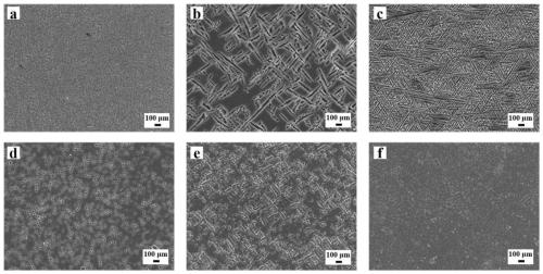 Experimental method for electric pulse auxiliary regulation and control additive manufacturing near-[Beta] type titanium alloy metallographic structure