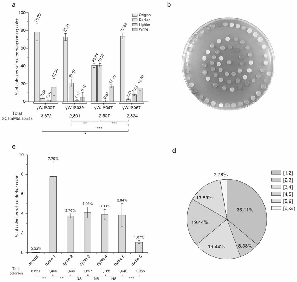 Deletion of the gene and its application, the strain of the gene deletion and its application in improving the production of microbial secondary metabolites