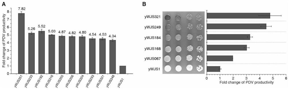 Deletion of the gene and its application, the strain of the gene deletion and its application in improving the production of microbial secondary metabolites