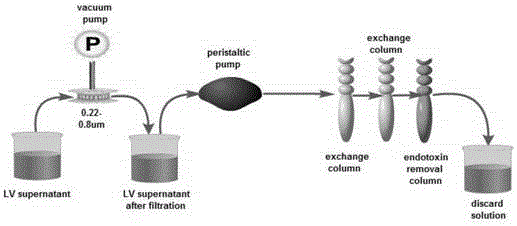 CD 30-targeting replication-defective recombinant lentivirus CAR-T transgenic vector as well as construction method and applications thereof