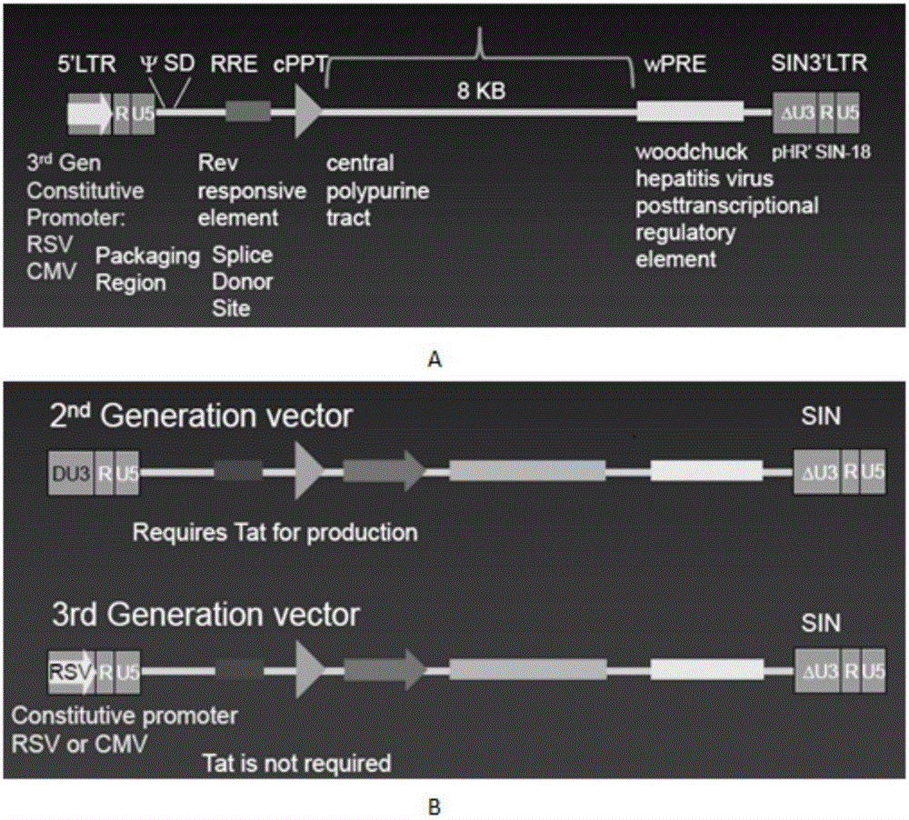 CD 30-targeting replication-defective recombinant lentivirus CAR-T transgenic vector as well as construction method and applications thereof