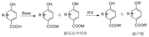 A kind of preparation method of tert-butyl substituted hydroxybenzoate