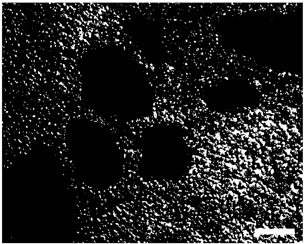 Preparation method and application of gelatin microspheres