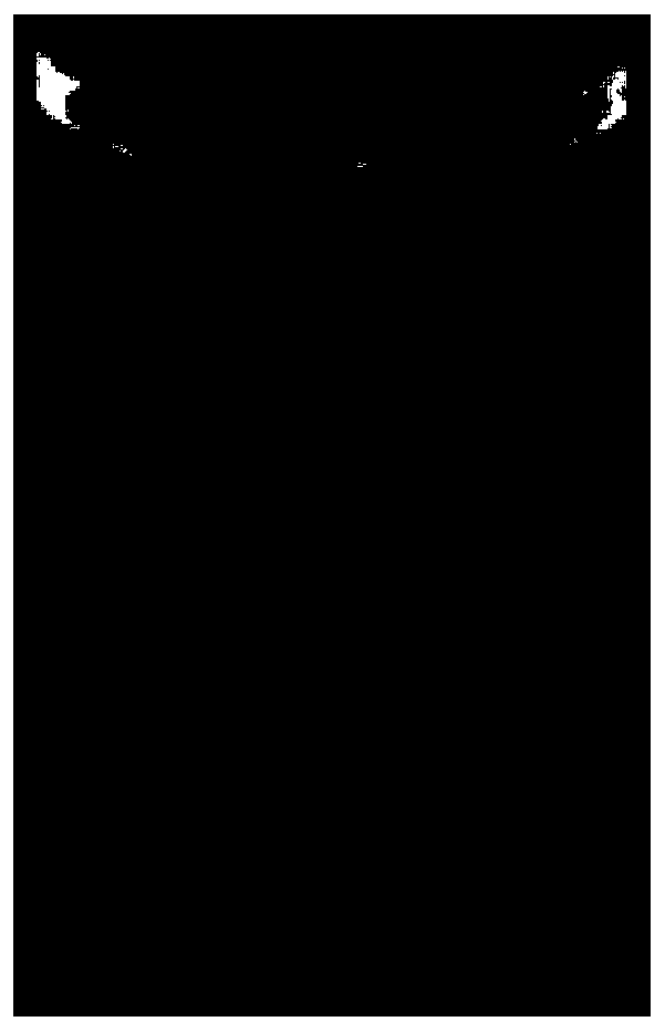 Nitrogen doped graphene quantum dots as well as preparation method and application thereof