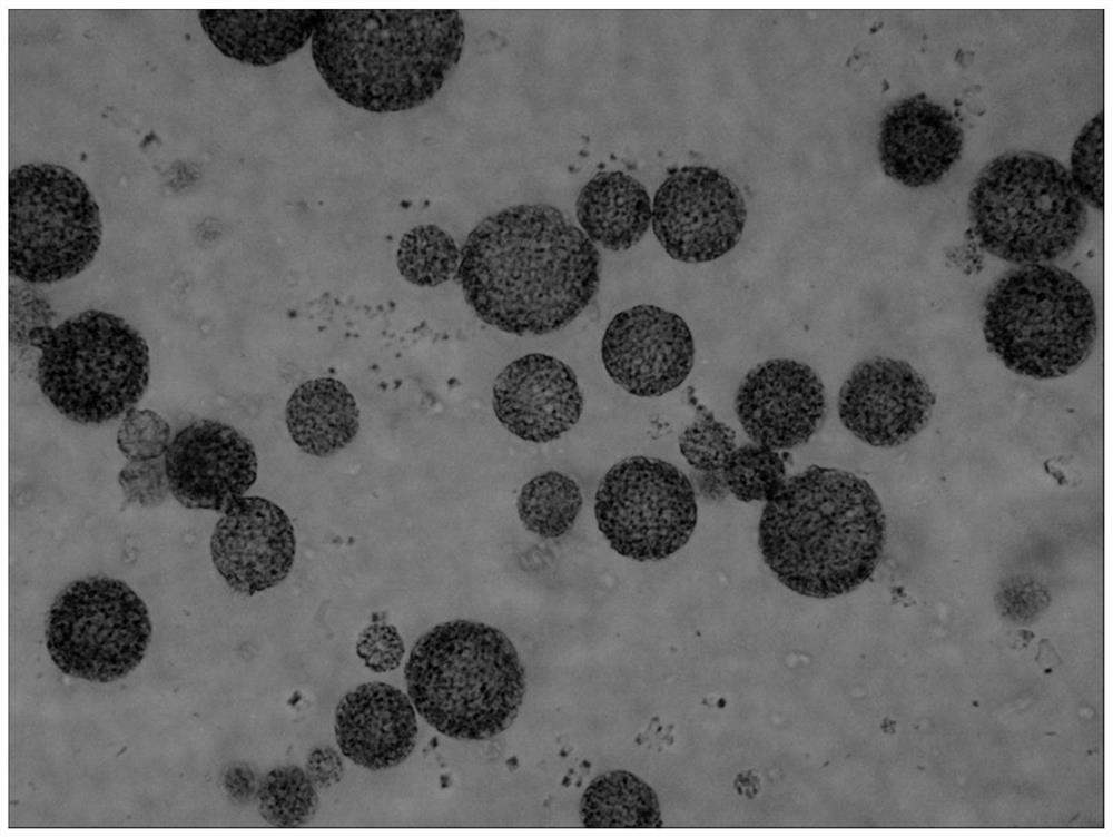 A kind of bupivacaine multivesicular liposome preparation device