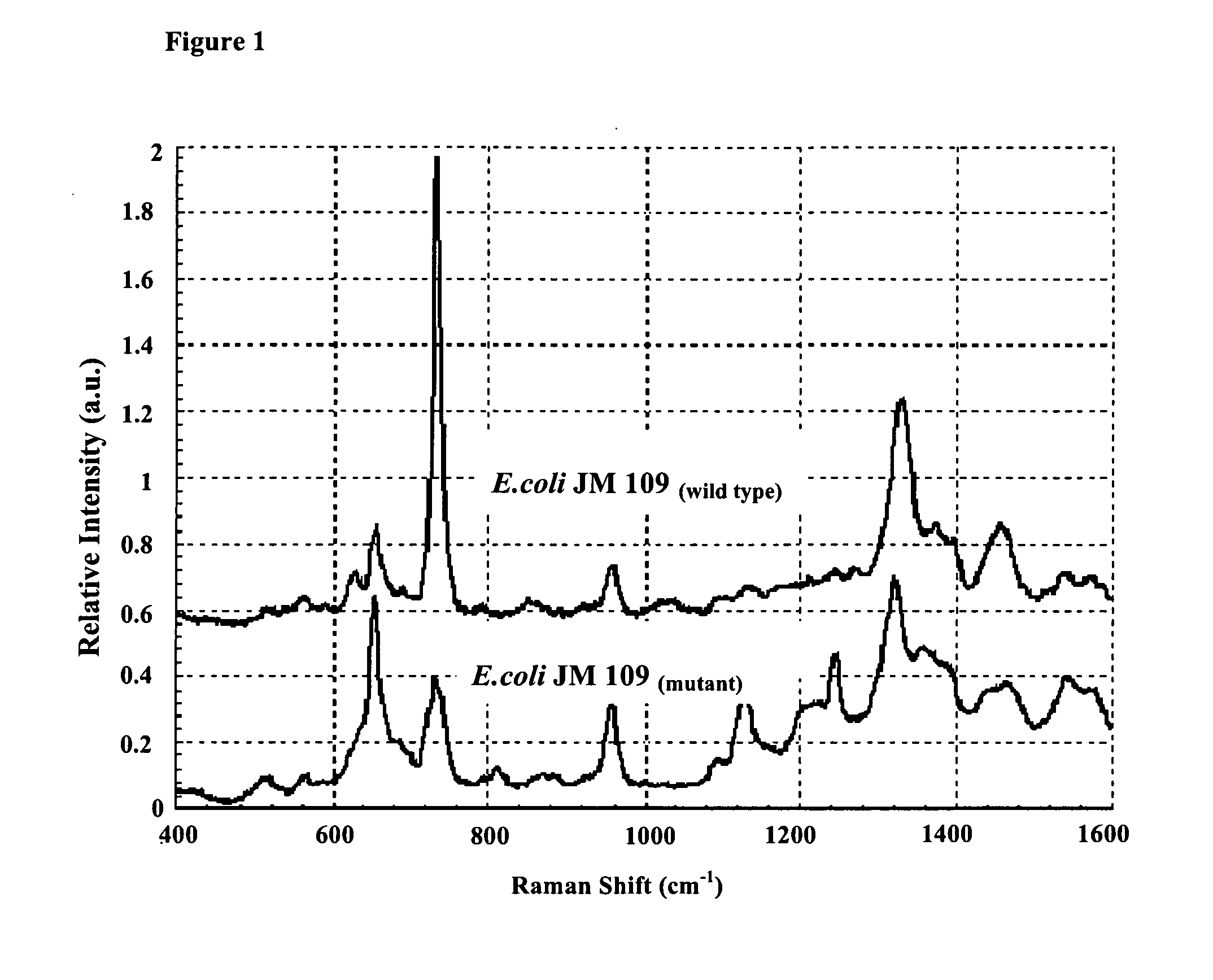 Method for identifying microorganism or detecting its morphology alteration using surface enhanced raman scattering (SERS)