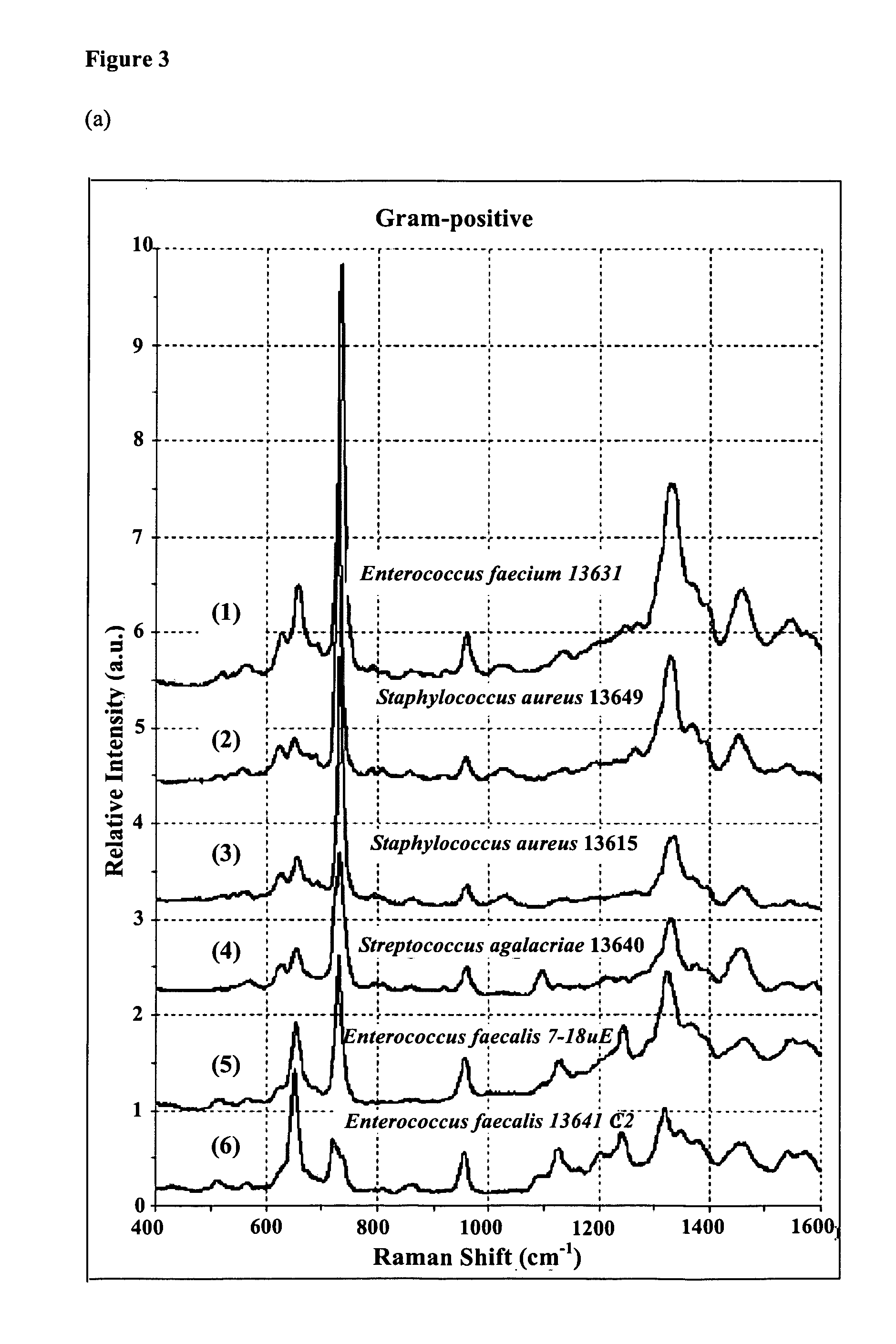 Method for identifying microorganism or detecting its morphology alteration using surface enhanced raman scattering (SERS)