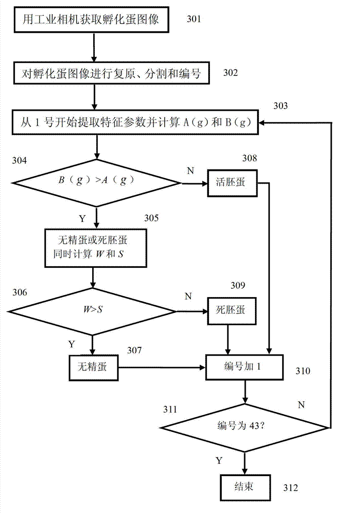 Visual inspection grading device and method for survival rates of eggs incubated in groups