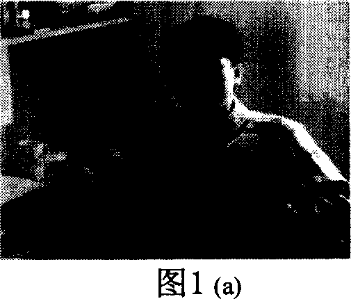 Method for detecting colour image human face under complex background