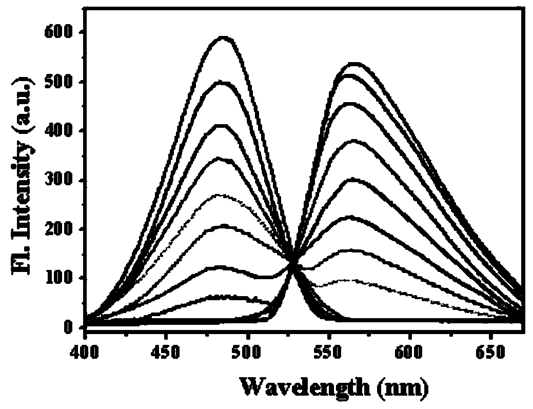 Fluorescence probe for detecting hypochlorite ion as well as preparation method and application thereof