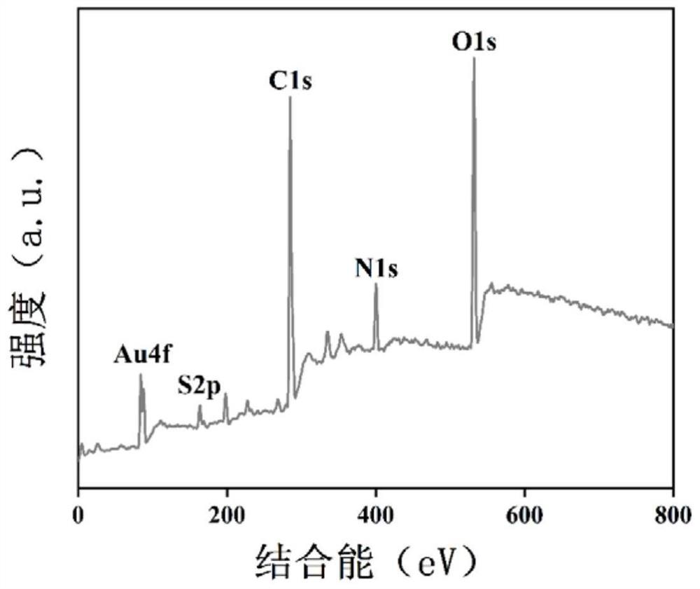 Method for detecting ascorbic acid based on gold cluster and TMB colorimetric fluorescence double signals