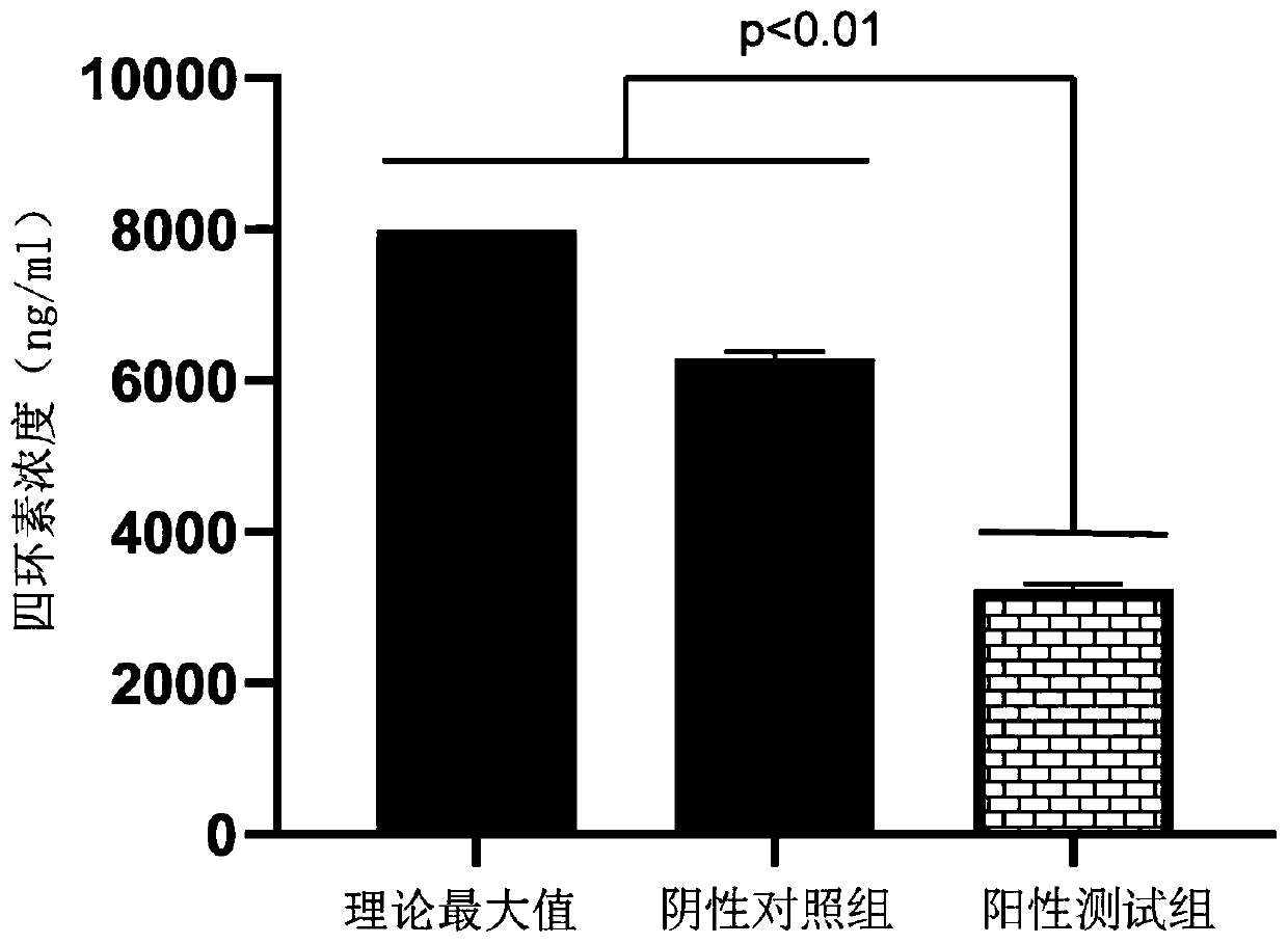 Chryseobacterium jejuense DDW4-2 strain and application thereof in degrading tetracycline antibiotics