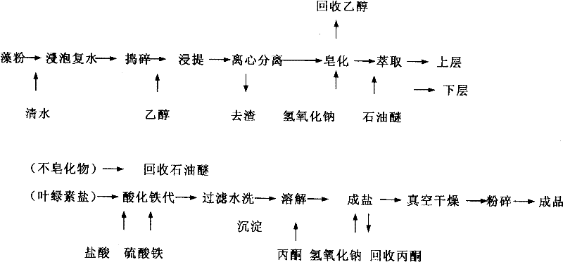 Spirulina extract and preparation thereof