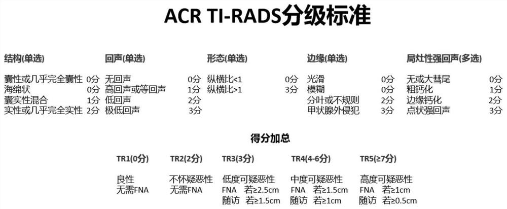 Thyroid nodule automatic grading method and system