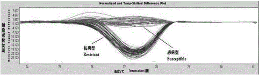 Molecular marks closely linked to glomerella leaf spot resistant genetic loci of apple and application