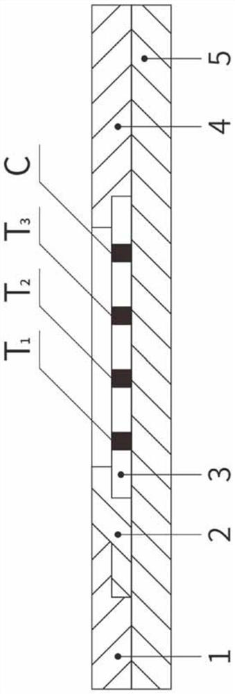 G-17, PGI and PGII combined detection device and preparation method thereof