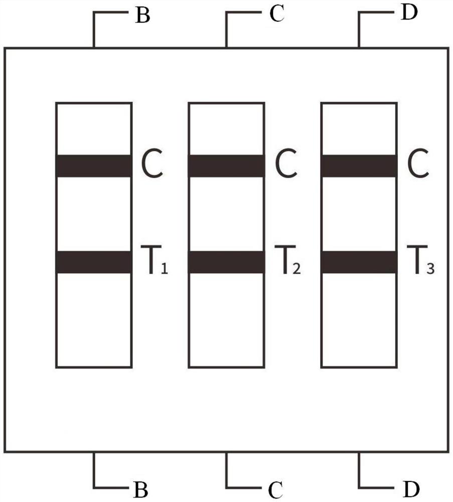 G-17, PGI and PGII combined detection device and preparation method thereof