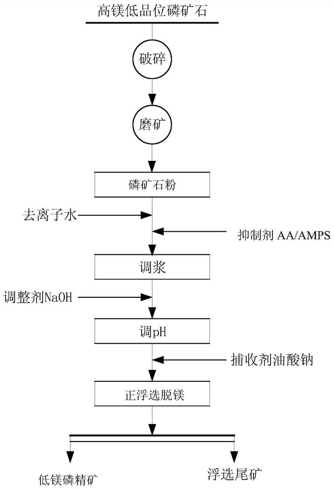 Application of a kind of inhibitor aa/amps in positive flotation demagnesization of phosphate rock