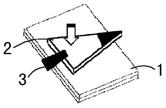 Qualitative and quantitative detection method of bacterial drug resistance protein arma